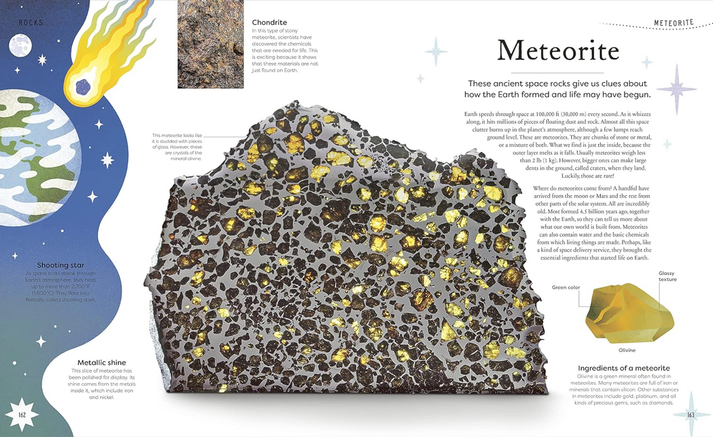 Nature's Treasures Tales Of More Than 100 Extraordinary Objects From Nature