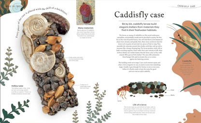 Nature's Treasures Tales Of More Than 100 Extraordinary Objects From Nature