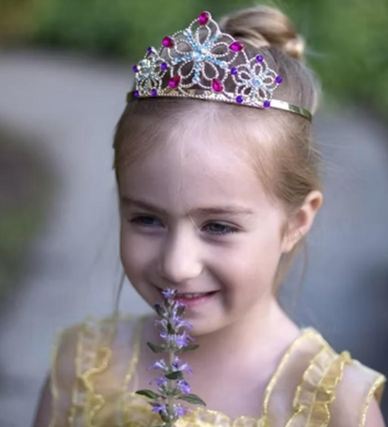 Bejewelled Tiara