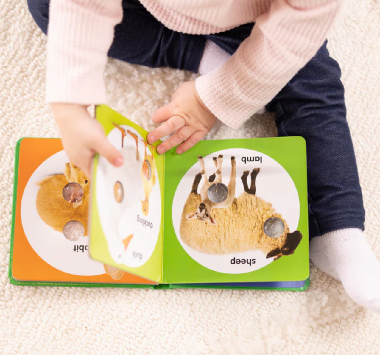 Small Poke-a-Dot: Farm Animal Families