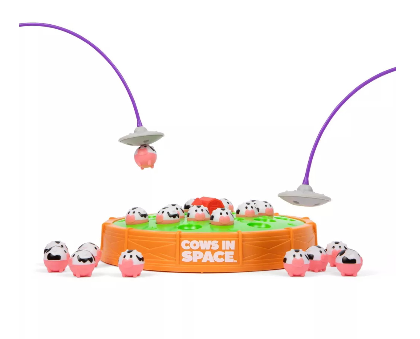 Cows in Space