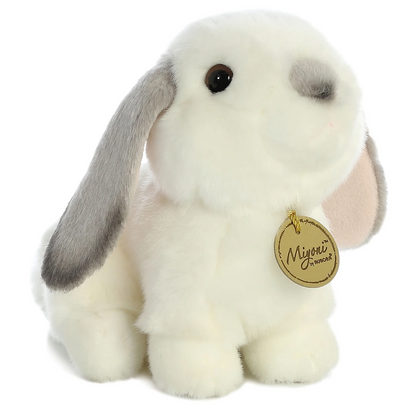 Lop Eared Rabbit with Grey Ears