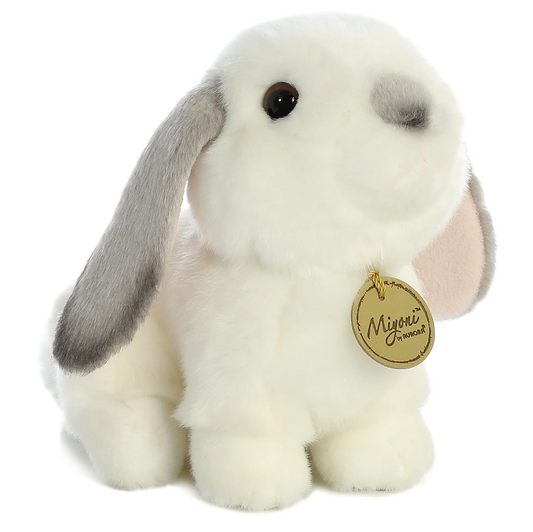 Lop Eared Rabbit with Grey Ears