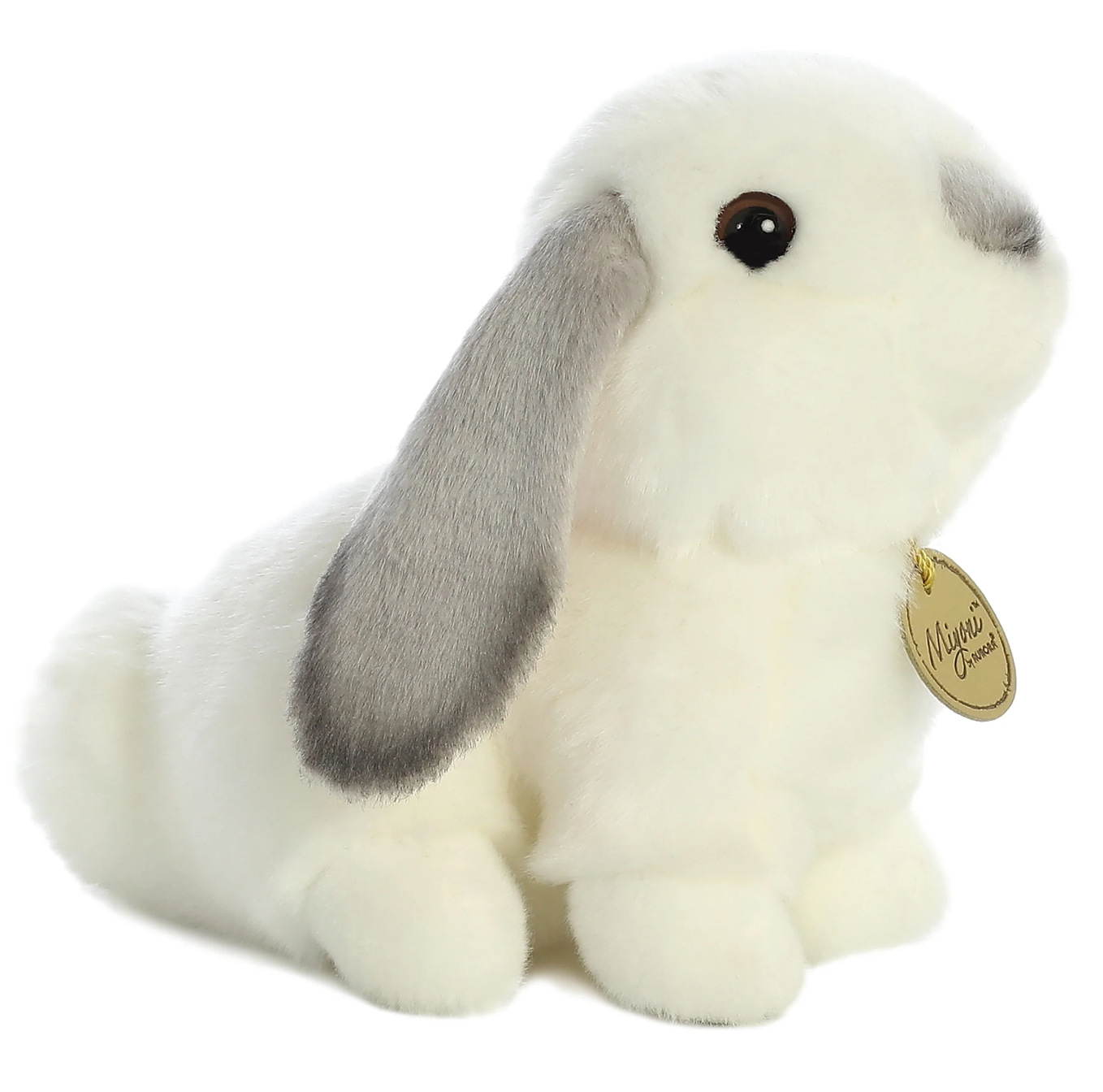 Lop Eared Rabbit with Grey Ears