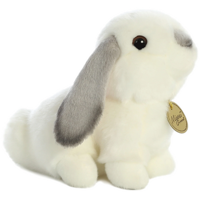 Lop Eared Rabbit with Grey Ears