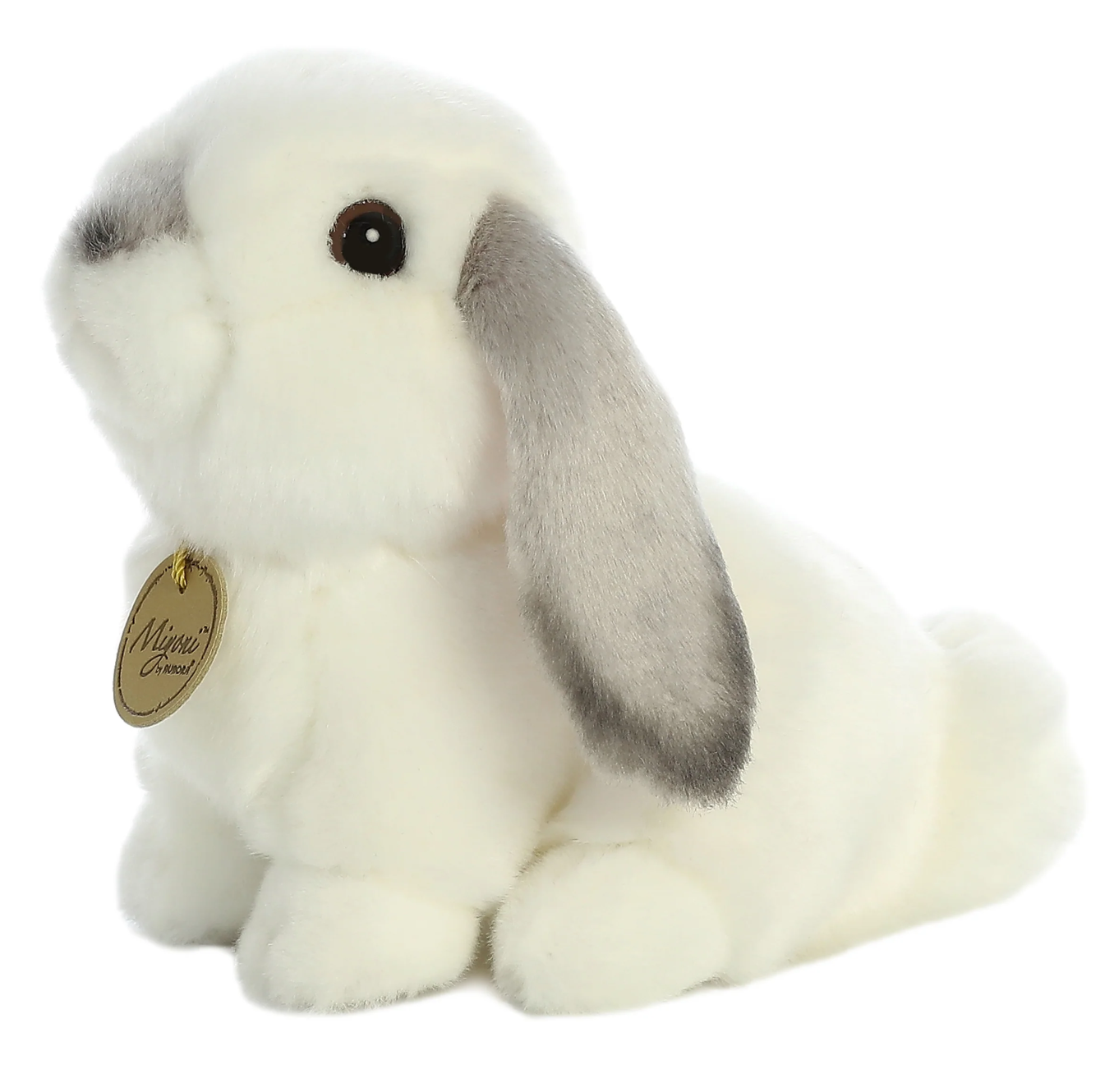 Lop Eared Rabbit with Grey Ears