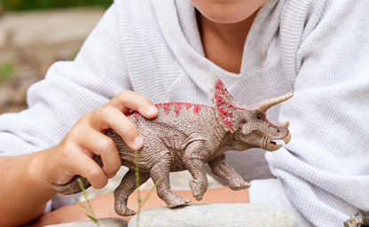Schleich Animal - Triceratops
