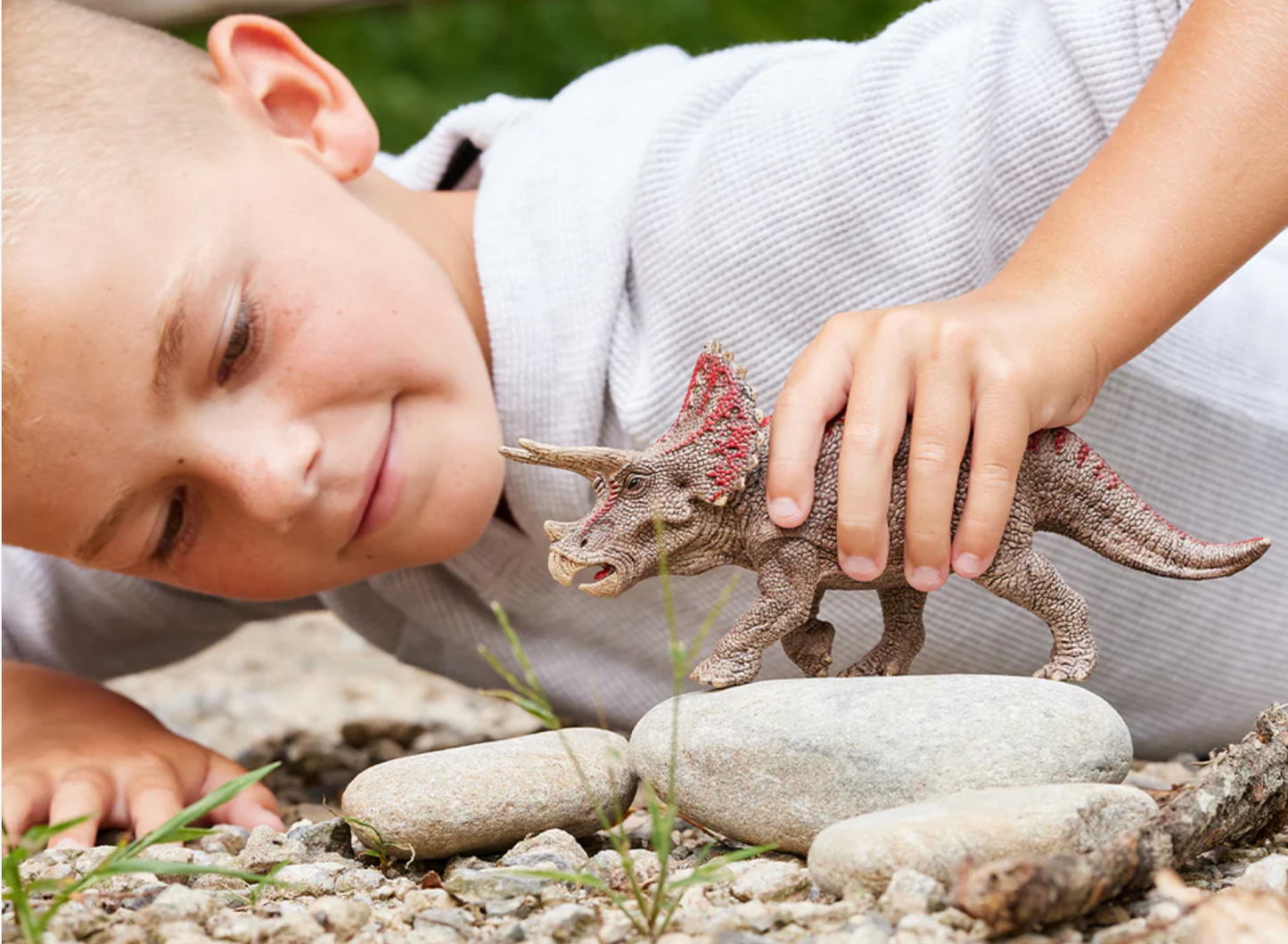 Schleich Animal - Triceratops