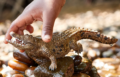 Schleich Animal - Crocodile