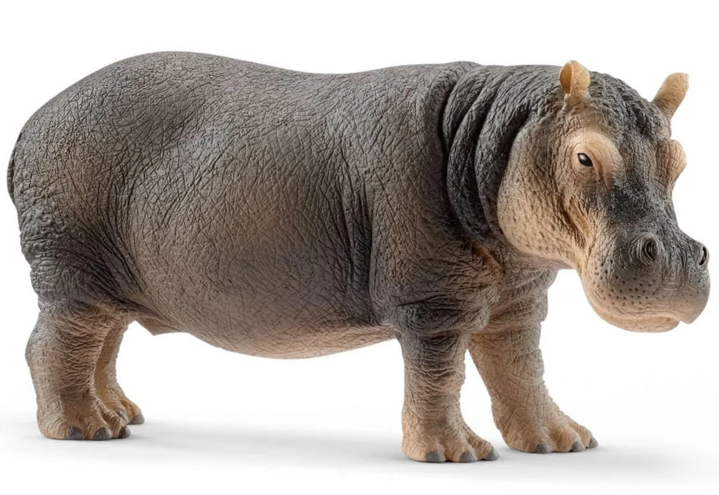 Schleich Animal - Hippopotamus