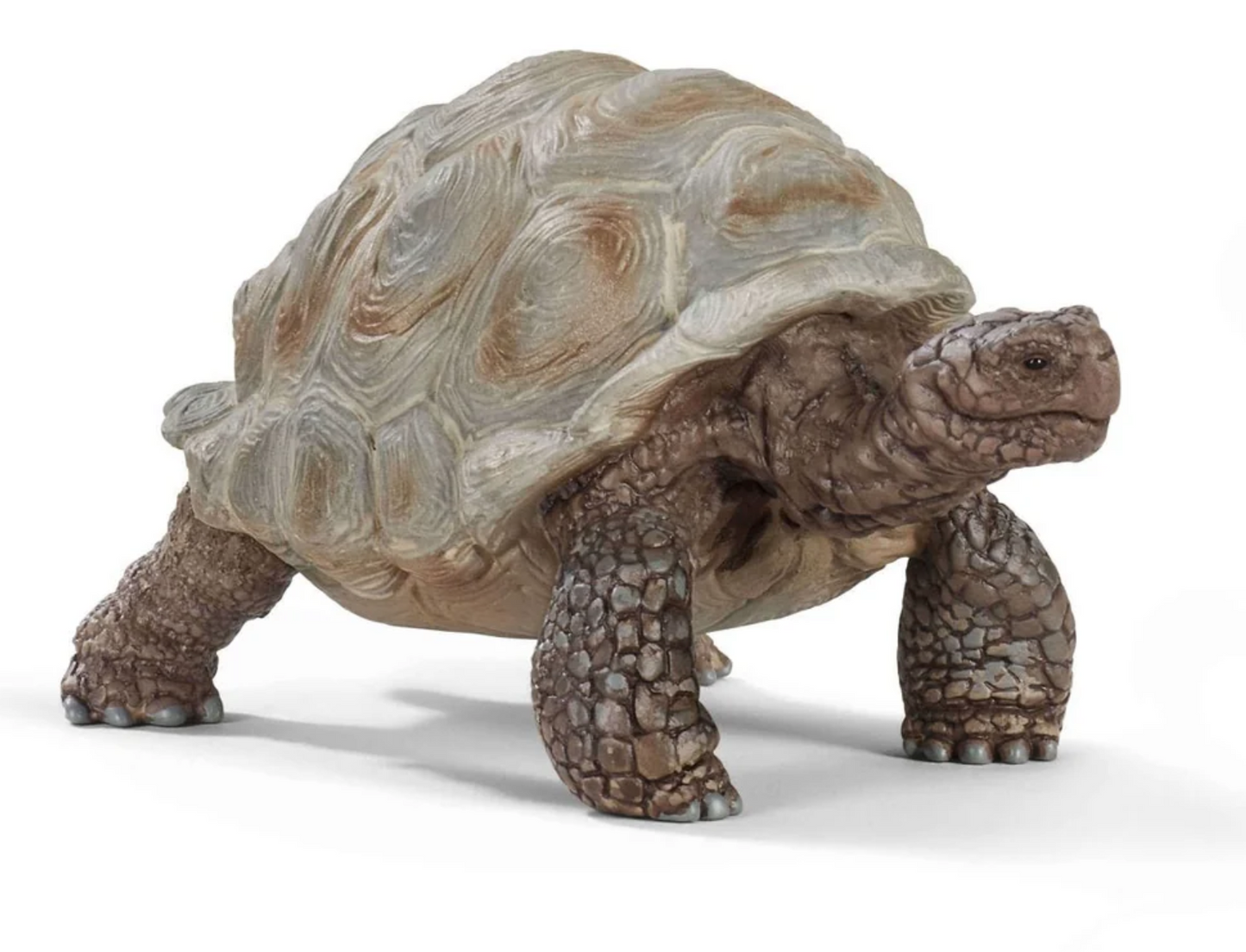 Schleich Animal - Giant Tortoise