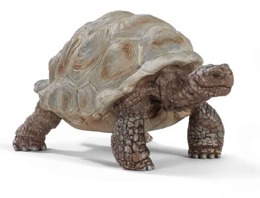 Schleich Animal - Giant Tortoise
