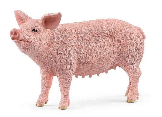 Schleich Animal - Pig
