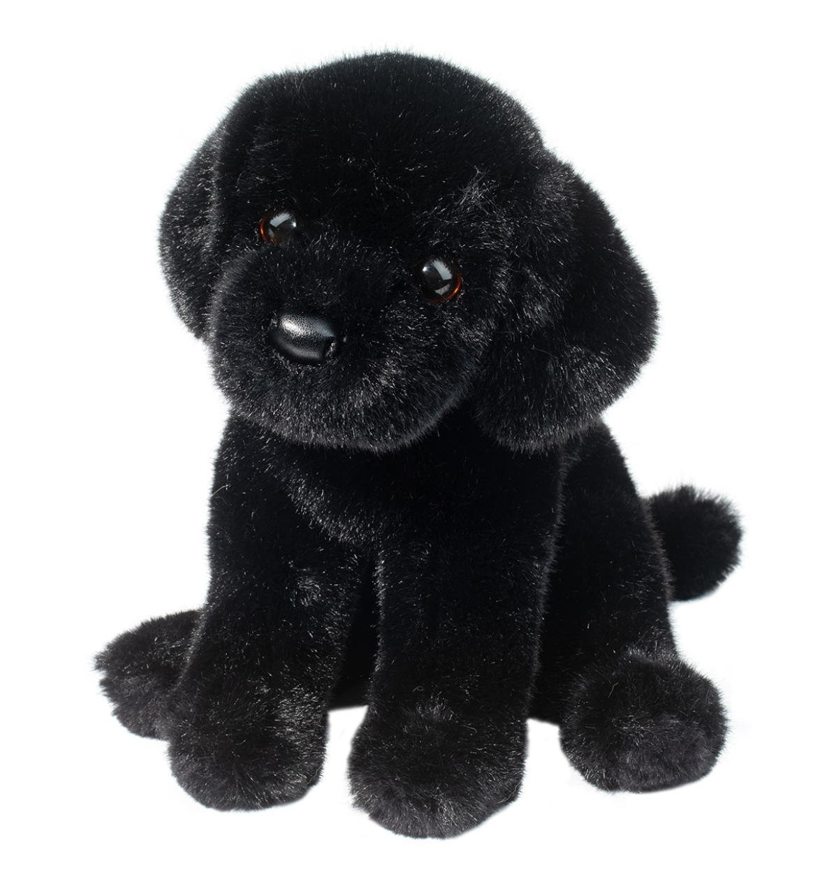 Ford Black Lab