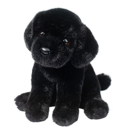 Ford Black Lab