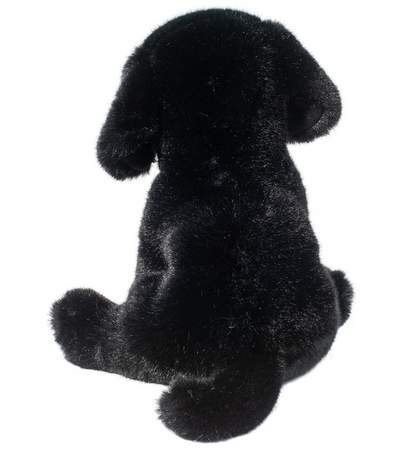 Ford Black Lab