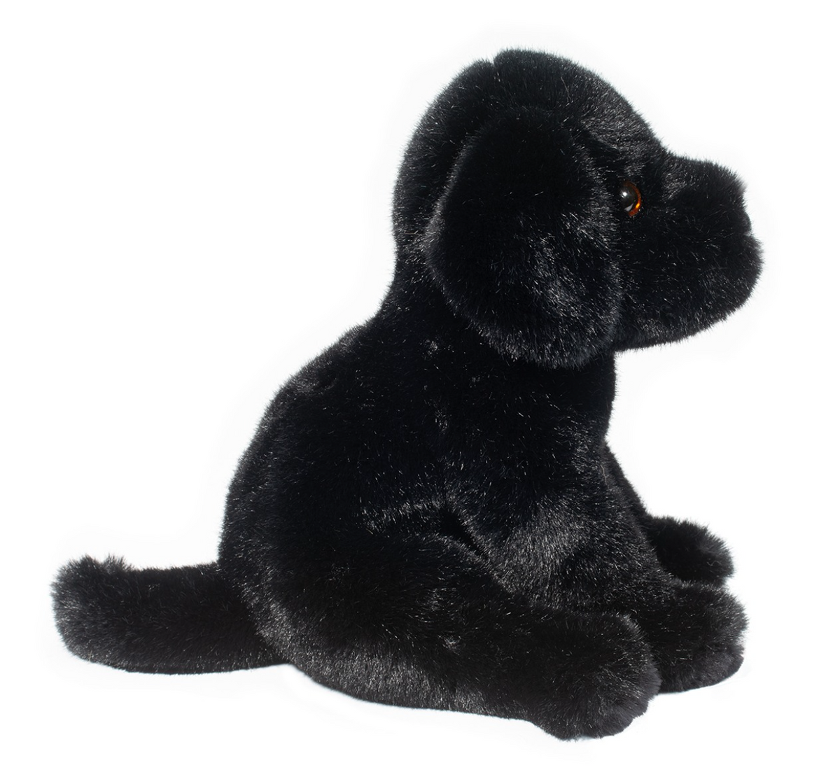 Ford Black Lab