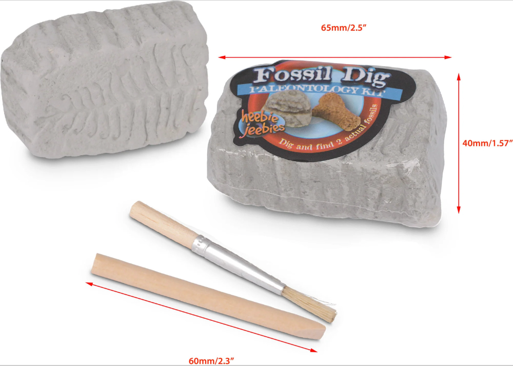 Fossil Dig in Beaker