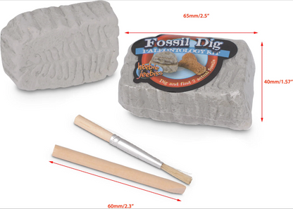 Fossil Dig in Beaker