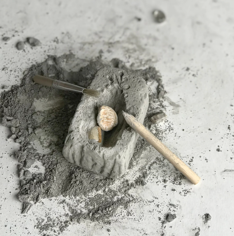 Fossil Dig in Beaker