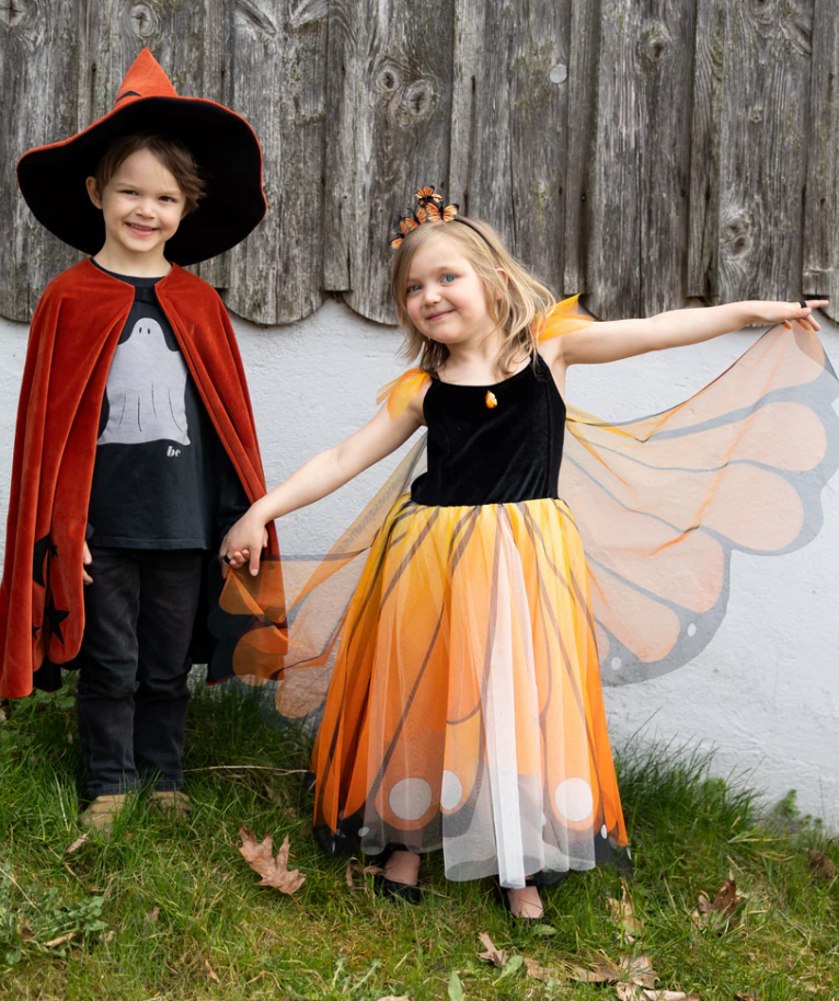 Butterfly Twirl Dress - Monarch, Size 5-6