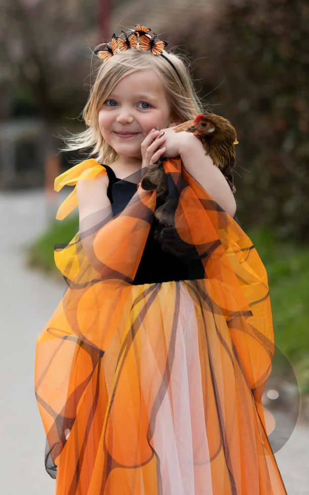 Butterfly Twirl Dress - Monarch, Size 5-6