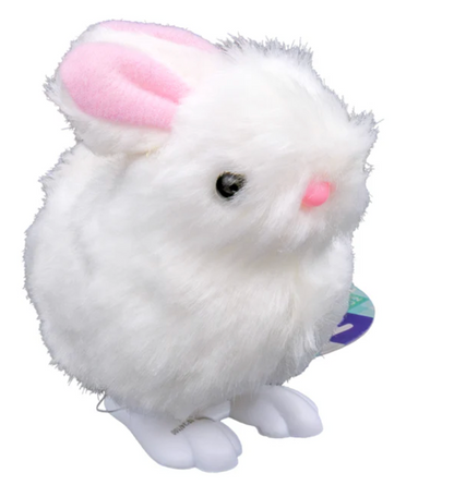 Farm Fresh Fuzzy Bunny Wind Up