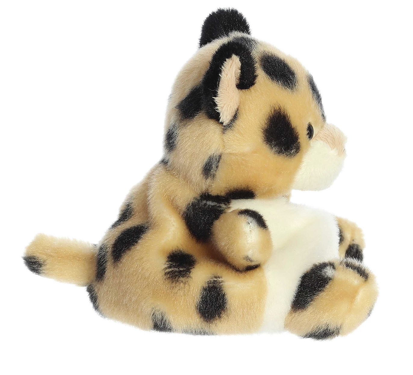 Palm Pal Chutney Cheetah