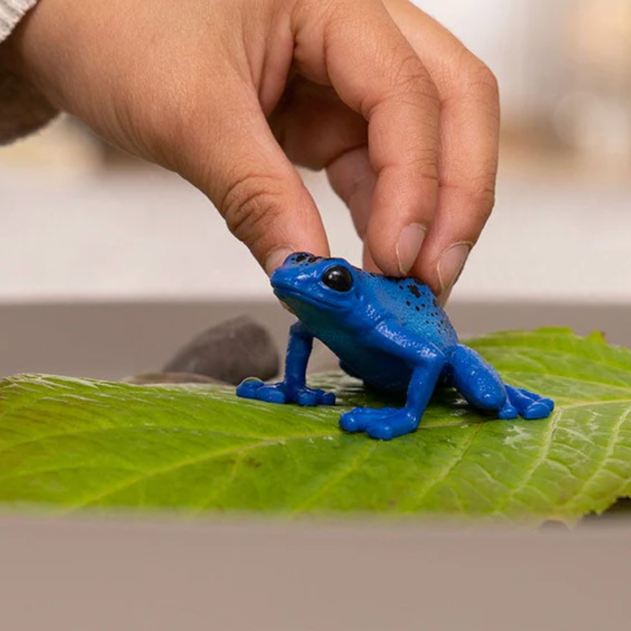 Schleich Animal - Blue Poison Dart Frog
