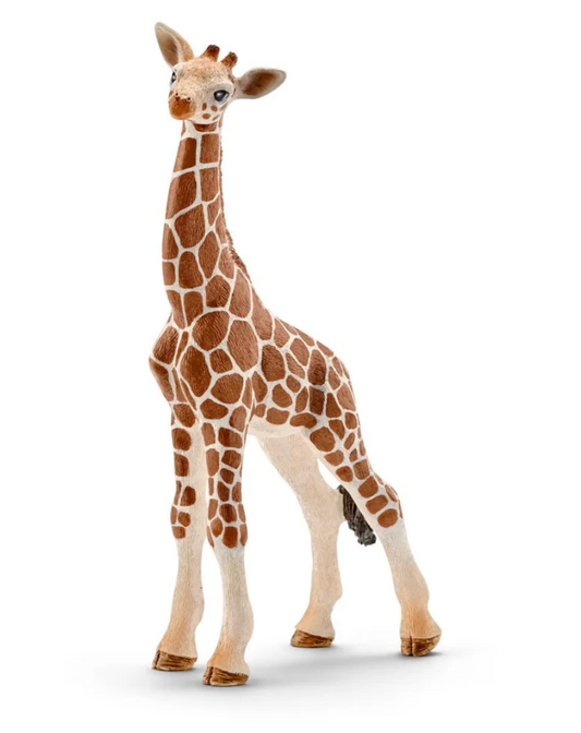 Schleich Animal - Giraffe Calf