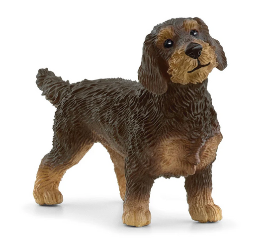 Schleich Animal - Wire-Haired Dachshund