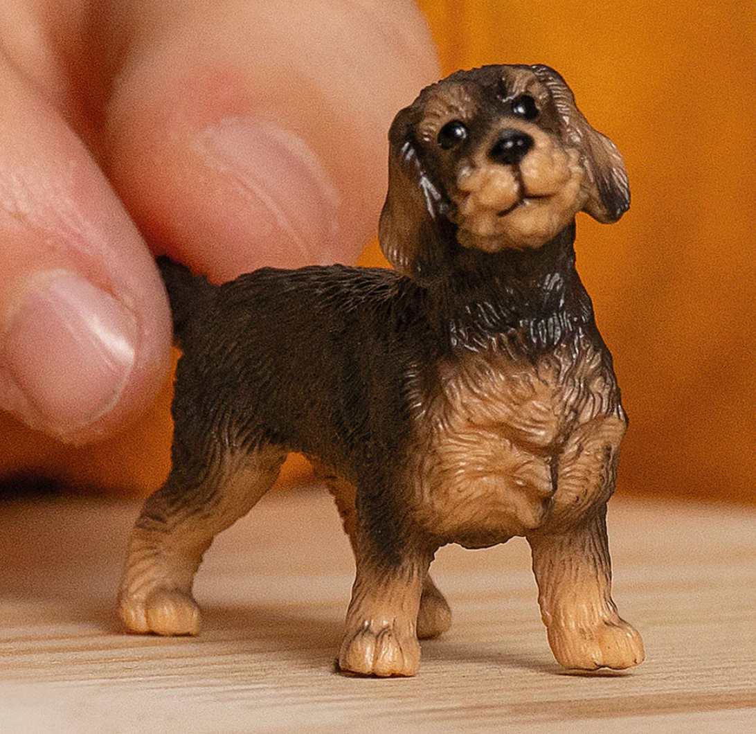 Schleich Animal - Wire-Haired Dachshund