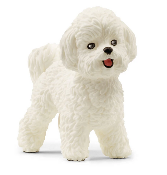 Schleich Animal - Bichon Frise