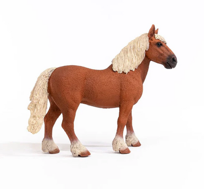 Schleich Animal - Belgian Draft Horse