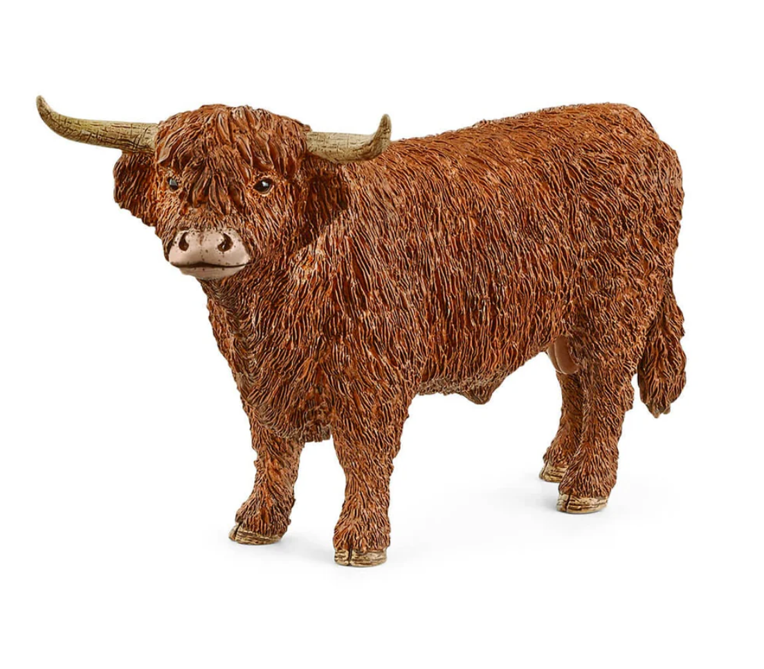 Schleich Animal - Highland Bull