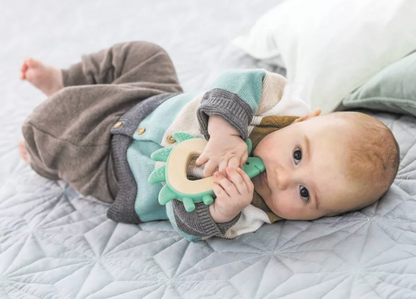 Hedgehog Teether