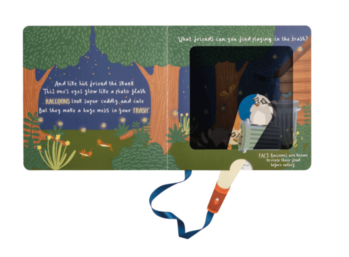 Night Animals Flashlight Book