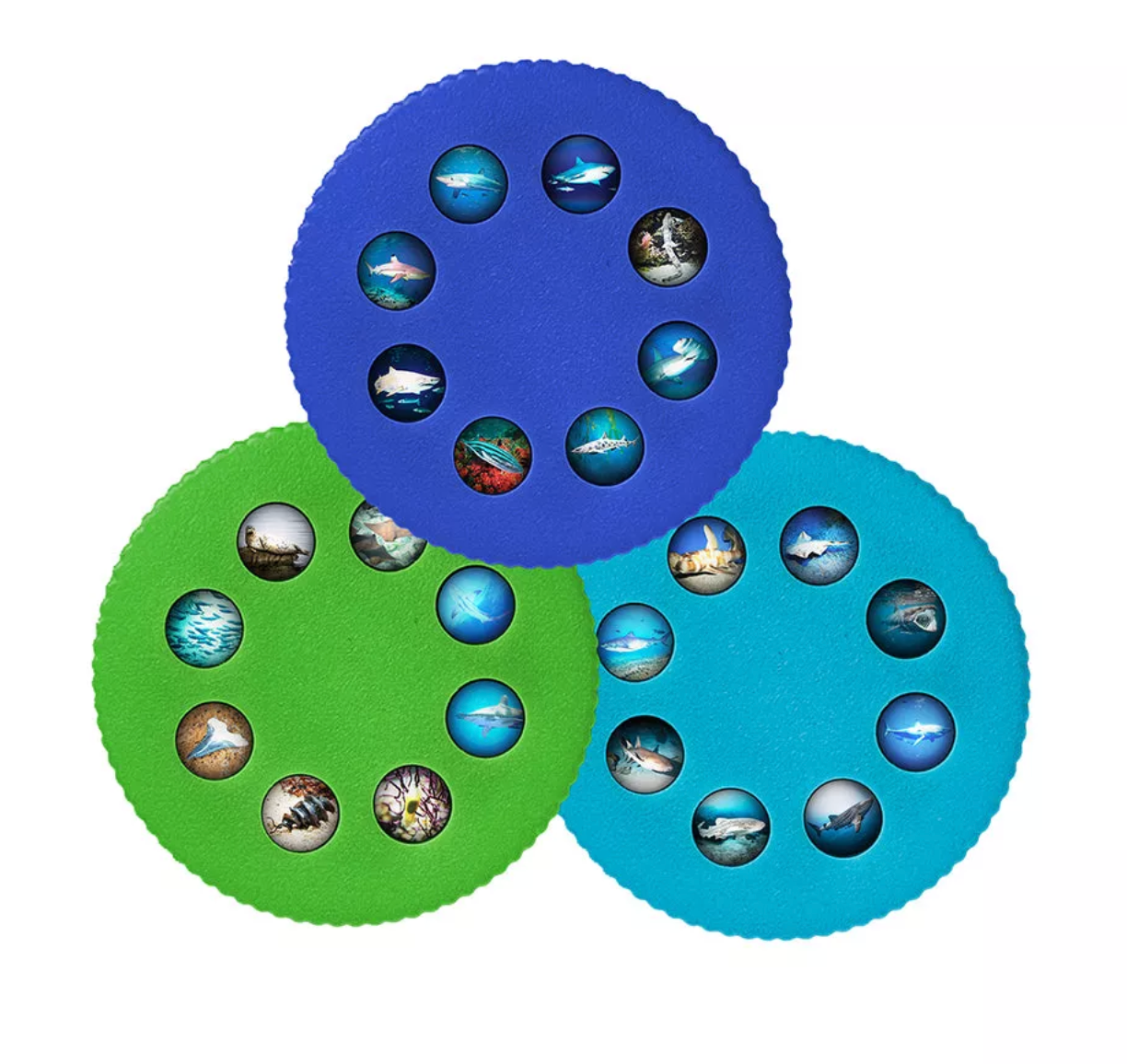 Wonder Lights: Sharks