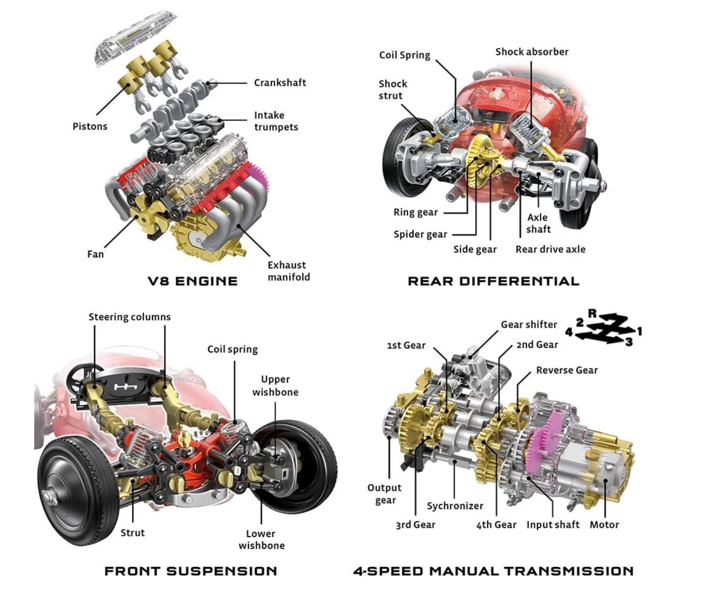 V8 Race Car