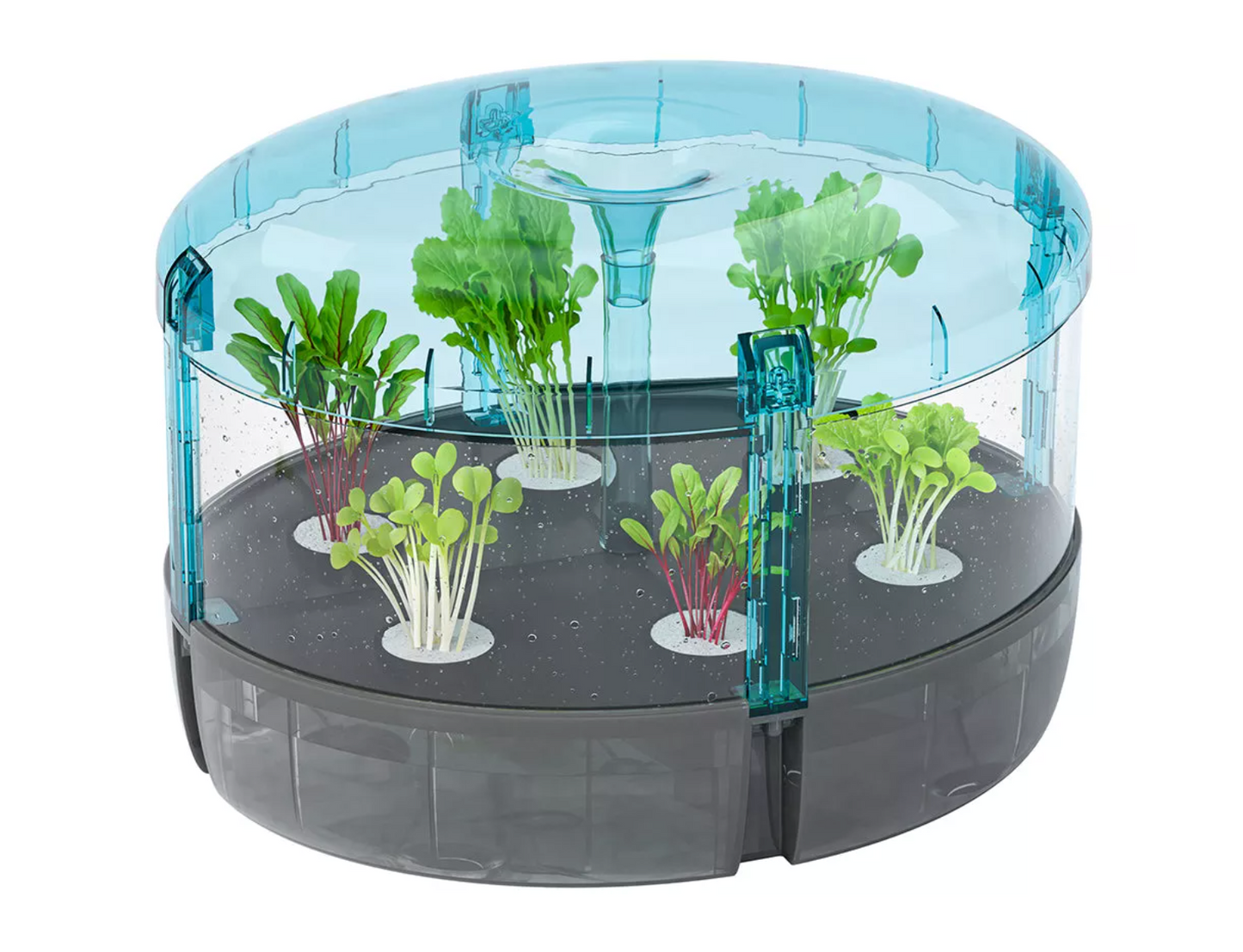 Hydroponics Lab