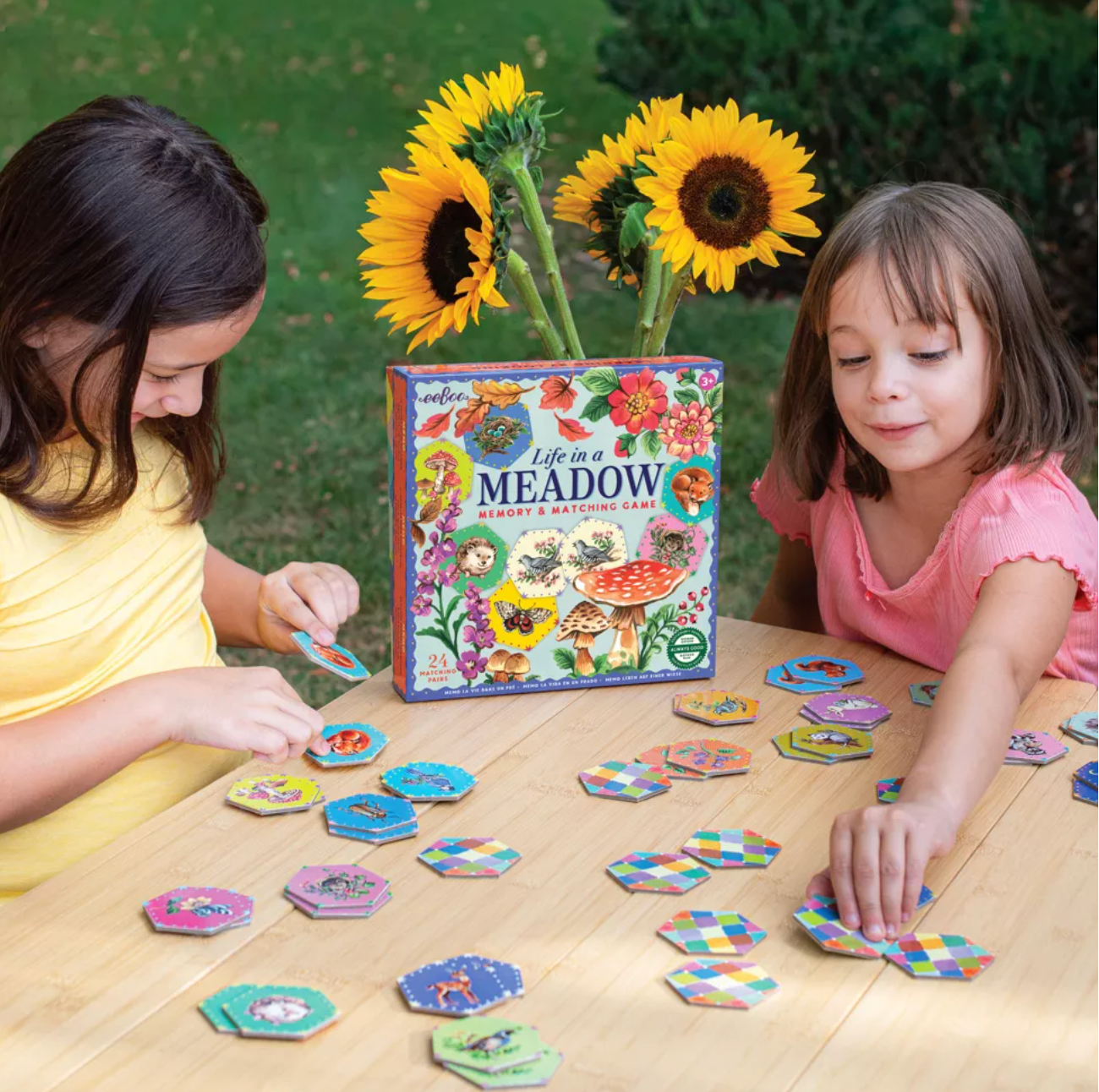 Life in a Meadow Matching Game