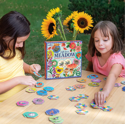 Life in a Meadow Matching Game