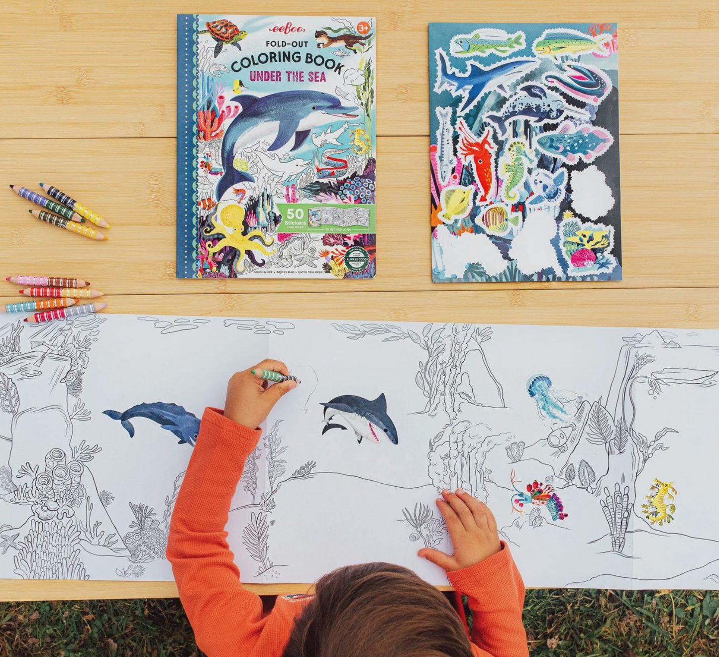 Fold-Out Coloring Book