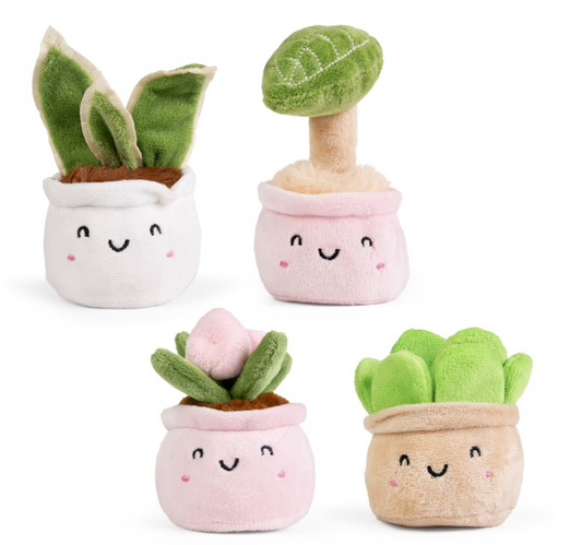 LITTLE GREENS Cute Plants