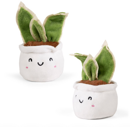 LITTLE GREENS Cute Plants