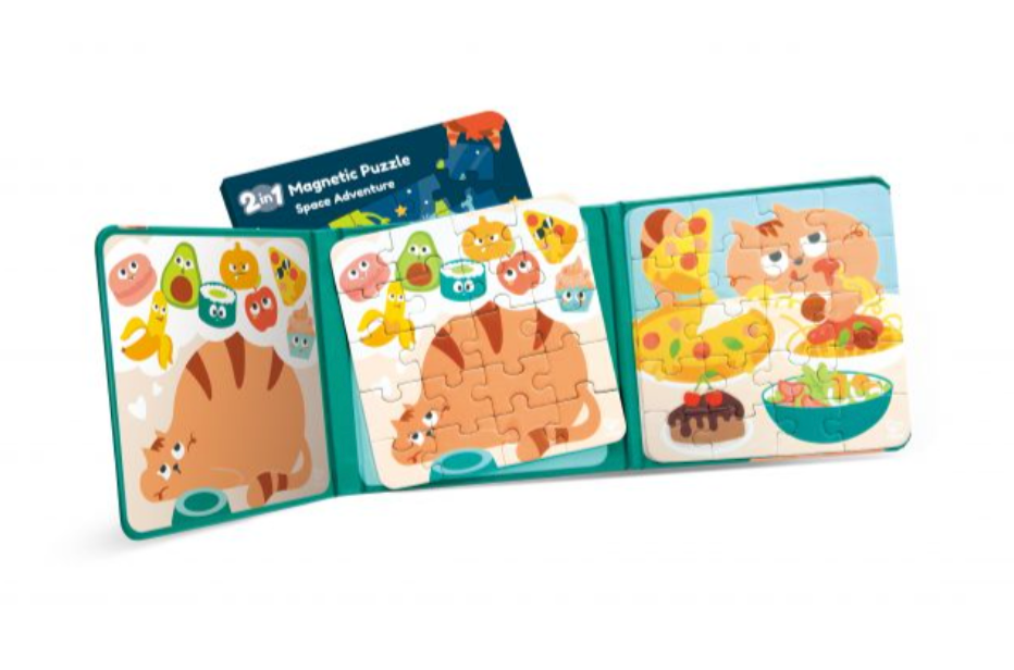 Magnetic Puzzle Book
