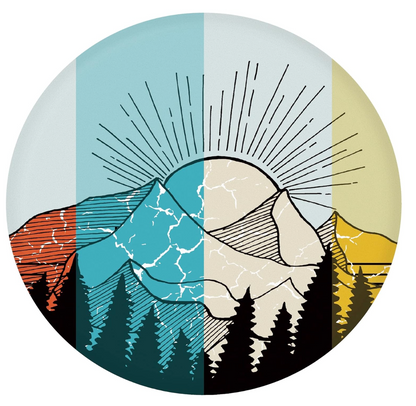 Wingman Disc