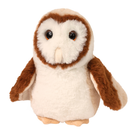 Rafter Barn Owl