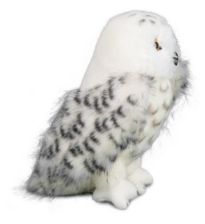 Legend Snowy Owl