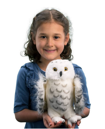 Legend Snowy Owl
